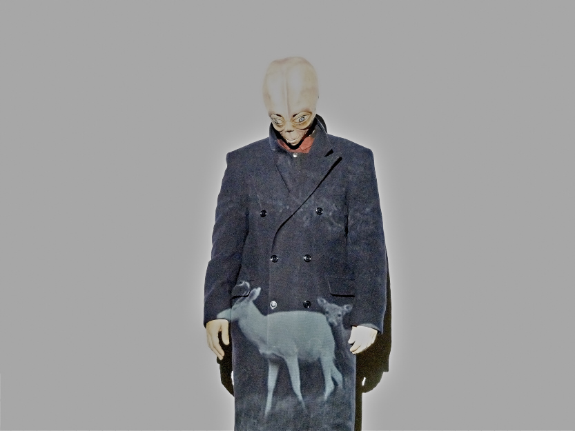 Carousel Image number 3